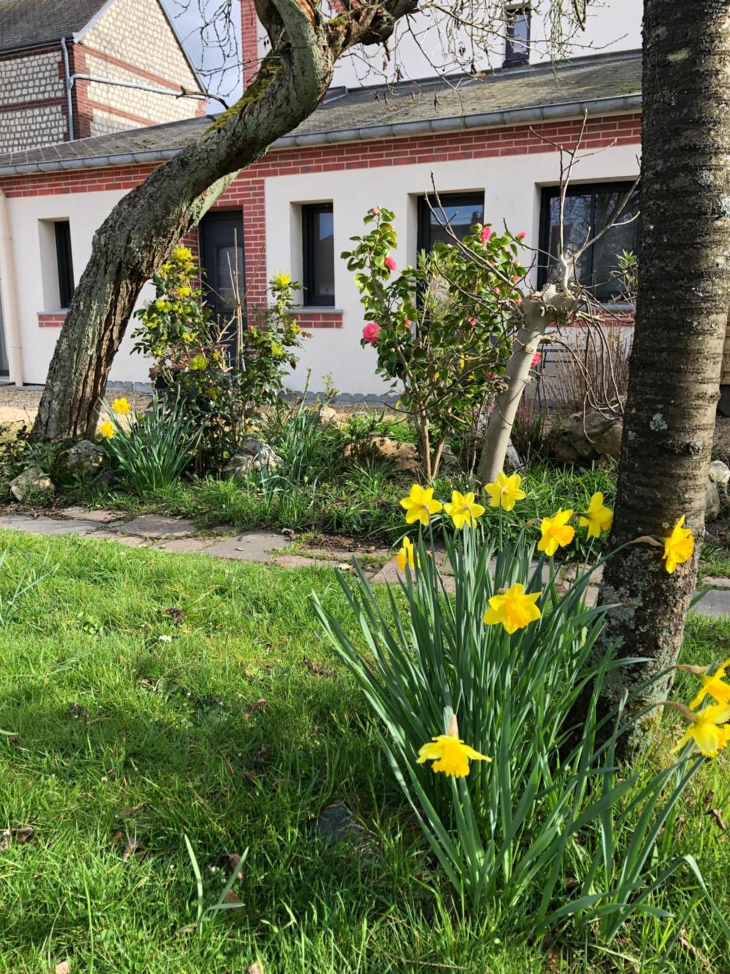 Les Cles D'A Cote - Maison D'Hotes De Charme Pres De Rouen Sotteville-les-Rouen Luaran gambar